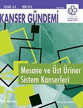 Mesane-ust-uriner-sistem-kapak_kck_1