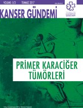 Primer_KaraciYer_on_kapak